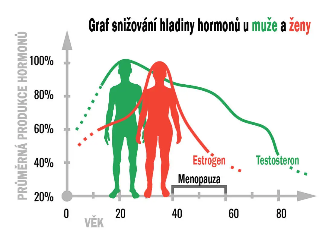 Graf snižování hladiny hormonů u muže a ženy